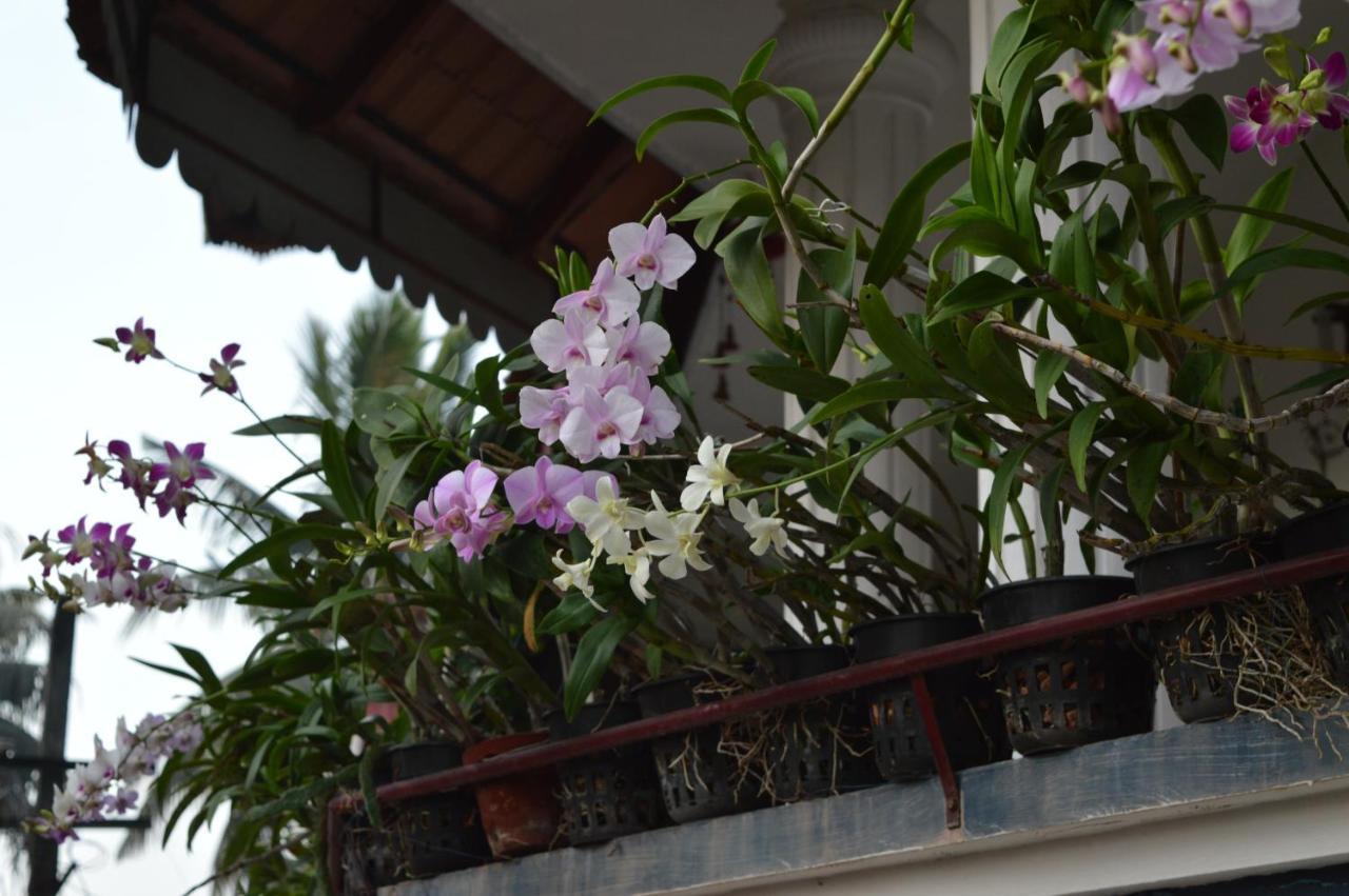 Dream Catcher Home Stay Kochi Bagian luar foto